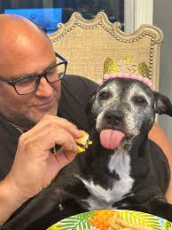 They always want to be close ❤️