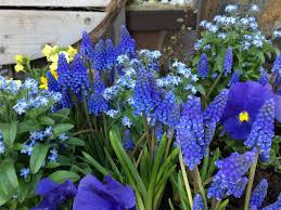 We did not find results for: Blumenladen Haberscheidt Auch Sonntags Geoffnet Blumen Fur Koblenz Co