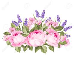 Check spelling or type a new query. Blooming Spring Flowers Garland Of Purple Roses Sakura And Lavender Label With Rose And Lavender Flowers Vector Illustration Royalty Free Cliparts Vectors And Stock Illustration Image 98721736