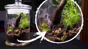 1,610 likes · 171 talking about this. The Native Terrarium 2 Years Later Youtube
