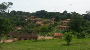 Brazil's guarani suffer at the hands of violent ranchers. Visiting The Guarani Caroline Meets World
