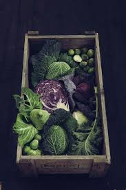 Pulling Me Towards Myself Fuckyeahbrassica Via Le Parfait Fairytales Winter Vegetables Warm Salad Vegetables
