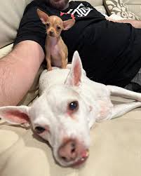 Rocky Pepper Layla (@rocky_and_pepper_show) • Instagram photos and videos