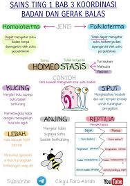 Cikgu Share Collection Nota Ringkas Sains Tingkatan 1 Bab 3 Facebook