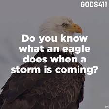 An eagle uses the negative energy of a storm to fly even higher. Gods411 May Your Heart Soar Like An Eagle Facebook