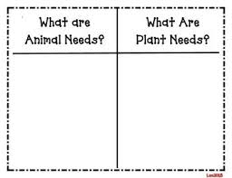 Basic Needs Of Living Things Sort Plants And Animals First Grade Science Science Lessons Elementary Science