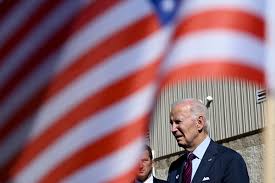 Image result for Bidens diversa