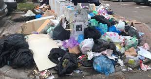 Finanţarea cheltuielilor curente şi de capital ale direcţiei generale de salubritate sector 3 va fi asigurată din venituri proprii şi subvenţii. Foto Video Sectorul 3 Ingropat In Gunoaie DupÄ Ce PrimÄria A Preluat Activitatea De Salubrizare NegoiÅ£Ä Numit De InternauÅ£i GunoiÅ£Ä