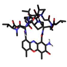 Image result for Dactinomycin