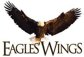 The eagles compete in the national football league. Eagles Wings Medicine From A Biblical Perspective
