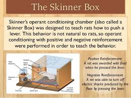 Image Result For Bf Skinner Operant Conditioning Operant Conditioning Skinner Box Constructivist Learning Theory