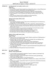 Consultant resume sample inspires you with ideas and examples of what do you put in the objective, skills, responsibilities and duties. Project Manager Consultant Resume Samples Velvet Jobs