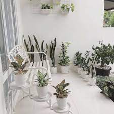 Nah, di sini, rumah123 akan membagikan cara cerdas untuk menyusun tempat bumbu dapur, sehingga kejadian seperti di atas tak akan terulang lagi! 10 Trik Menata Taman Minimalis Di Teras Rumah Yang Sempit Penempatan Bisa Disesuaikan Selera