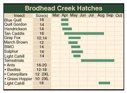 hatch chart brodhead tu