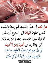 معلومات قيمة health fitness nutrition health facts health skin care