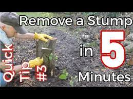 See more ideas about stump removal, stumped, tree stump. Quick Tip 3 Visually Remove A Tree Stump In 5 Minutes Youtube