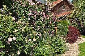 Gartenziele Ausfluge Zu Schonen Garten Der Rosengarten Sinneszauber In Scheidegg Rosengarten Garten Im Freien