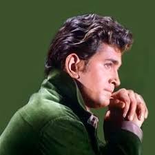 320 Michael Landon ideas