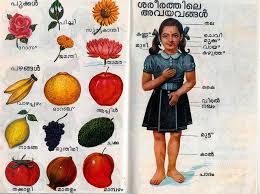 We did not find results for: Flowers Name List In Malayalam Flix It