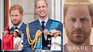 Prince Harry book: All the latest bombshell revelations about William, Kate  and Camilla