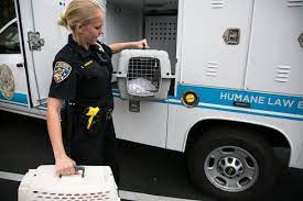 San Diego Humane Society