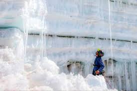 Image result for Blue Inca 2008 147