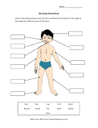 Body parts word recognition worksheet author: Pin On Summmer Vacation