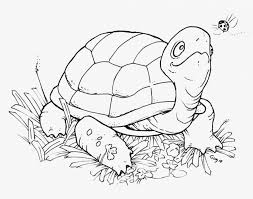 Download this adorable dog printable to delight your child. The Holiday Site Coloring Pages Of Turtles Free And Downloadable