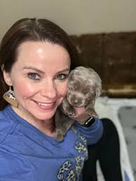 Sterling Shades Labradors of Arkansas