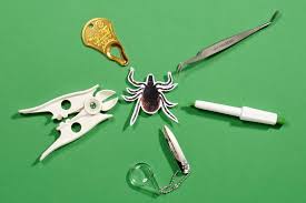 Image result for Tick Removal