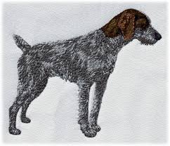 Image result for německý ohař drátosrstý stavba těla