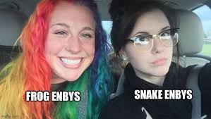 Nonbinary bug and frog representation in media