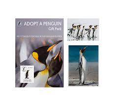 The hit action rpg genshin impact has a ton of content for players to work through, but how long does it take to reach the end of the main story? Renewal Penguin Adoption 25 Falklands Conservation