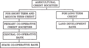 In order to achieve this, the cabinet approved amendments to banking regulation act. Cooperative Bank India One For All All For One Digiteer