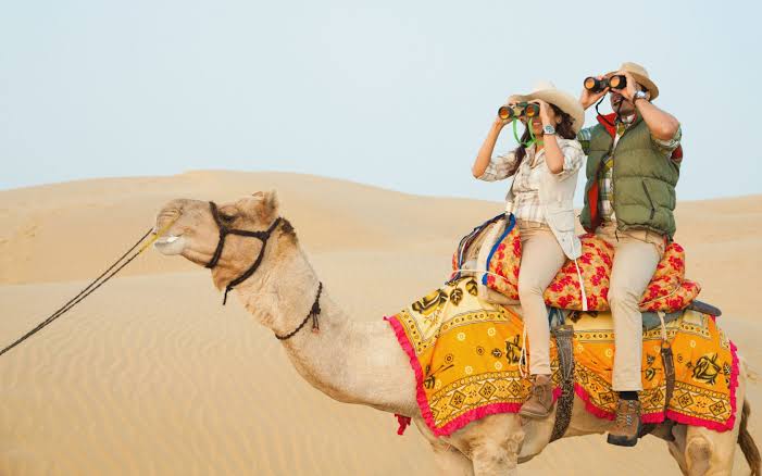 camel safari in jaipur