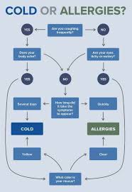 Are You Suffering From A Cold Or Allergies Find Out How Opc3 Can Help With Allergies And Give You Cold Or Allergies Health And Beauty Tips Health And Beauty