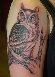 Japannese tattoos tattoo burung hantu album 2 tato burung hantu di lengan, 14 03 2019 tattoo burung hantu album 2 koleksi tato burung hantu atau owl tatto terbaik sumber : Tattoo Burung Hantu Album 3 Xpth7
