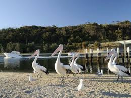 Destinations Gippsland Victoria Australia Australia Photos Australia National Parks