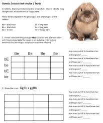 Dihybrid cross is a cross between two individuals who differ in two observed traits that are controlled by two distinct genes. Crosses That Involve 2 Traits Advanced Biology Lessons Teaching Biology Biology Classroom