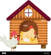 house hen rooster chicken and eggs farm animal cartoon vector illustration  Stock Vector Image & Art - Alamy