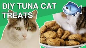 In addition to giving your feline friend healthy cat treats that you can purchase from pet i used tuna in oil, and it looks great and smell pretty good too. Diy Tuna Cat Treats Youtube