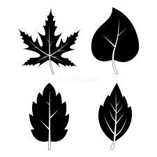 47 images fall leaves clipart black and white border use these free images for your websites, art projects, reports, and powerpoint presentations! Leaves Silhouettes Autumn Symbols Collection Black And White Au Indivstock