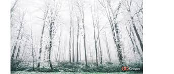 24 Free Winter And Holiday Backgrounds For Microsoft Teams Crayon Us Download these winter background or photos and you can use them for many purposes, such as banner, wallpaper, poster background as well as powerpoint background and website background. holiday backgrounds for microsoft teams