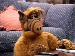 392 rock and roll quizzes and 3,920 rock and roll trivia questions. Peoplequiz Trivia Quiz Alf I Tv Alien