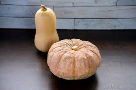 I often eat butternut squash in the fall.suelo comer zapallos ancos en el otoño. How To Make Pumpkin Puree Canned Pumpkin Substitute Oh The Things We Ll Make
