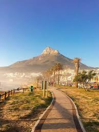 An Insider S Guide To Cape Town Dame Traveler In 2020 Cape Town Travel South Africa Travel Africa Travel