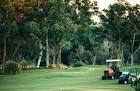 Golf Courses - Gold Coast Australia