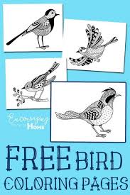 Free, printable coloring pages for adults that are not only fun but extremely relaxing. Bird Coloring Pages And All About Birds For Kids
