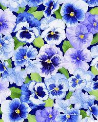 Bloomfield Avenue Pansy Peekaboo Quilt Fabrics From Www Equilter Com Cellphone Wallpaper Backgrounds Pastel Background Wallpapers Pastel Background