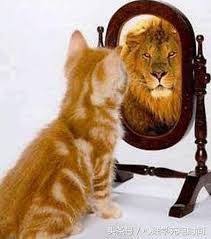 Hace unos años leí el libro la ley del espejo. Louise Hay El Poder Del Espejo Pdf Transforma Tu Vida Mirandote Al Espejo Decidete A Triunfar